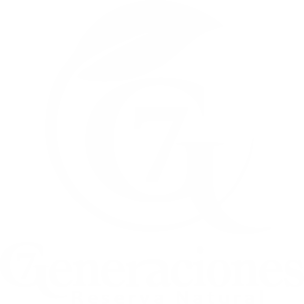 7 Generaciones