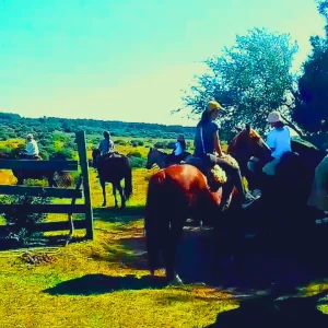 Horse Riding
