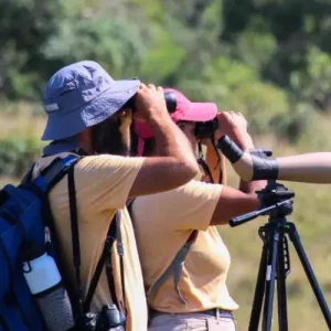 Wildlife Watching