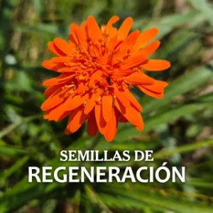 Colaboración