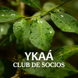 Club de socios
