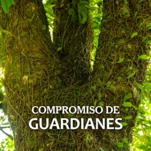 Alianzas estratégicas