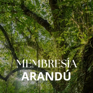 Membresía Arandú